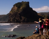 new zealand