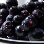 Blueberry time: If the icelandic summer coming to an end