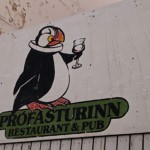 Invasion der Papageientaucher in Vestmanna auf Heimaey