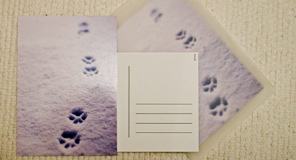 Tipp: Foto-Postkarte mit eigenem Motiv online drucken