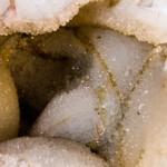 Steina-Petra: Ein Leben mit Steinen / A life with stones